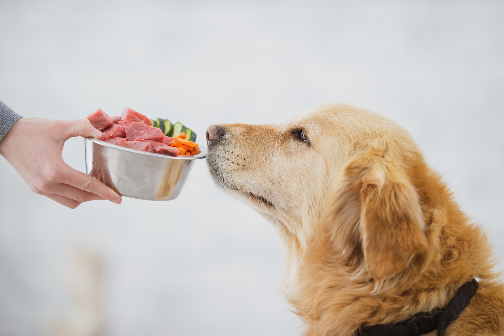 This bowl of food smells so good